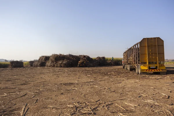 Agriculture Harvest Crop Loading — Stock Photo, Image