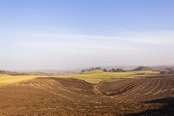 Agriculture Cultures Paysage brûlé par le feu — Photo