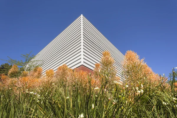 Canto edifício Flora Azul — Fotografia de Stock