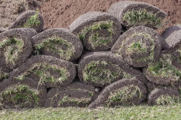 Gras rollte Soden — Stockfoto