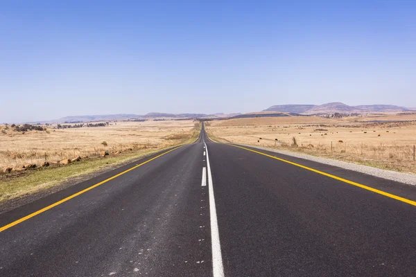 Road Straight — Stock Photo, Image