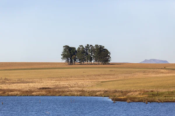 Rural Countryside Landscape — Stock Photo, Image