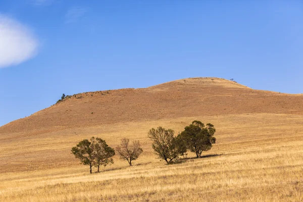 Dry Season Landscape — Stock Photo, Image