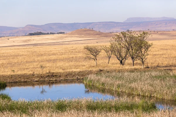 Waterhole Paisaje rural — Foto de Stock