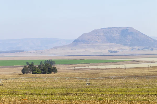 Paisagem agrícola — Fotografia de Stock