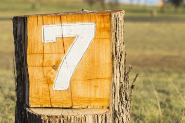 Number Seven 7 Sign clipart