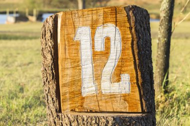 Number Twelve 12 Sign Log clipart