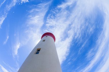 Kayalık sahil şeridi boyunca deniz feneri var. Kırmızı ve beyaz boya binası ve mavi yaz gökyüzü var..