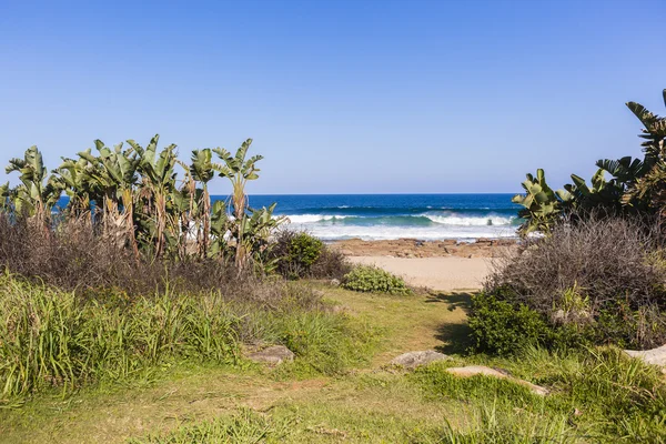 Beach Pathway Ocean — Stock Photo, Image