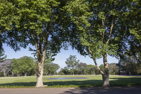 Cricket Field Landscape — Stock Photo, Image