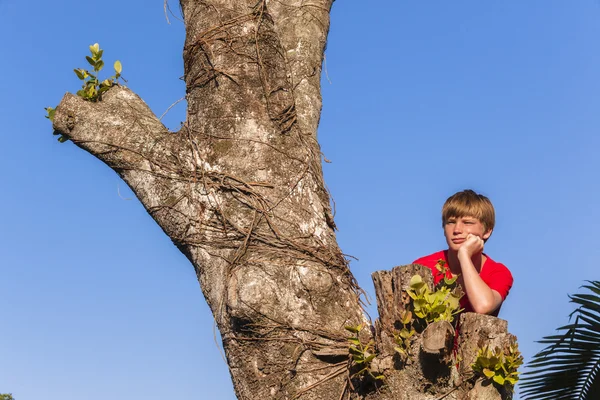 Будущее Boy Tree — стоковое фото