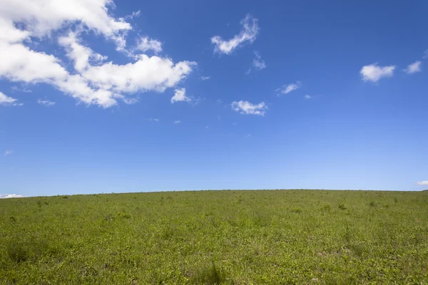 Gramados Hillside Blue Landscape — Fotografia de Stock