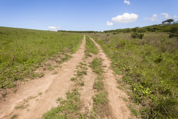 Dirt Road Landscape — Stock Photo, Image