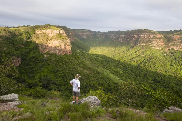 Hiker Wilderness Valley — Stock Photo, Image