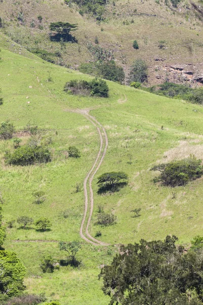 Dirt Track Route Hillside Mountain — Stock Photo, Image