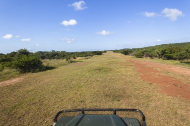 Uçan uçak pist vahşi