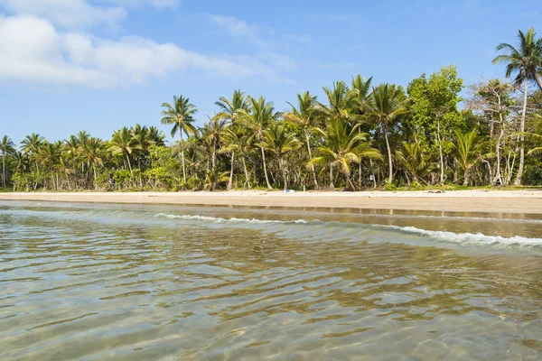 Playa Océano Palmeras — Foto de Stock