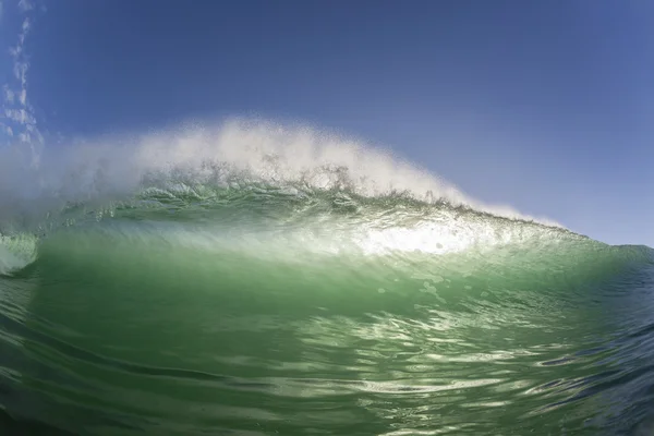 Wave Swimming Closeup — Fotografie, imagine de stoc