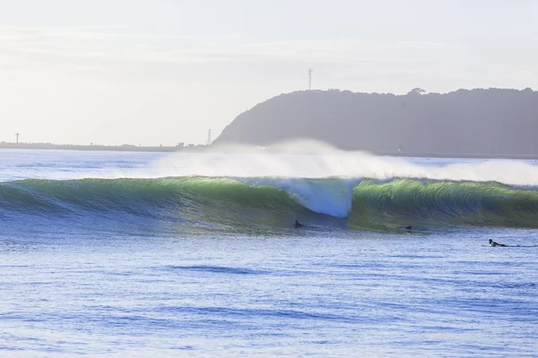 Kürek çekmeye dalga Surfers — Stok fotoğraf
