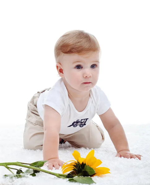 Baby dreng og solsikke - Stock-foto