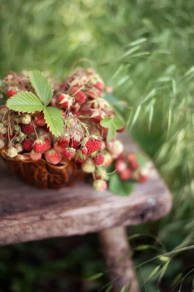 Still Life Bouquet Wild Strawberries Bench — Stock Photo, Image