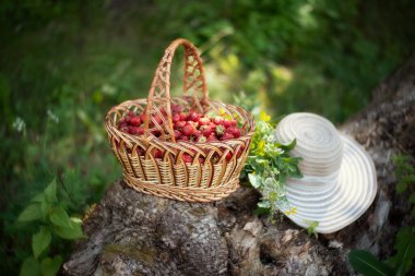 Durgun yaşam. Bir sepet kırmızı çilek..
