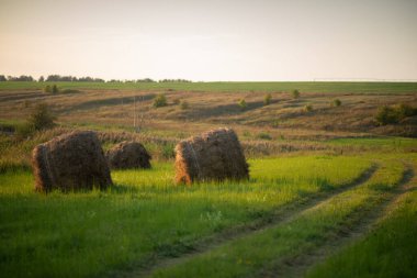 Çayırdaki saman balyalarının fotoğrafı..