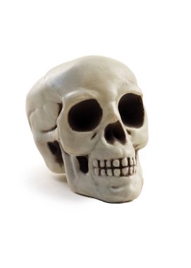 Beyaz arka planda bir insan kafatası