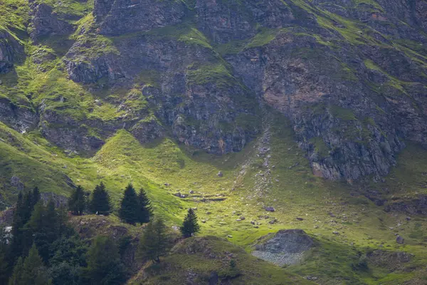 Alplerin ortasındaki dağ. Yeşil dağlarda yaz. Alp dağları, ışık ve bulutların gölgesi..