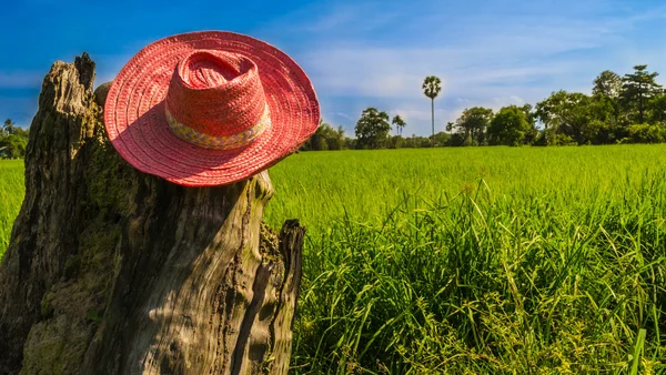 Sombrero de agricultor Fotos De Stock Sin Royalties Gratis