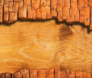 Ağaç kabuğu çerçeve