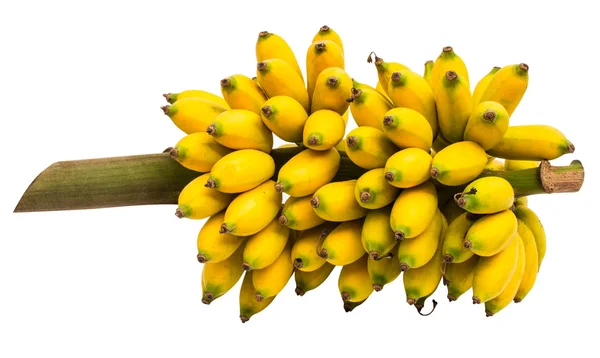 Plátano Imagen De Stock