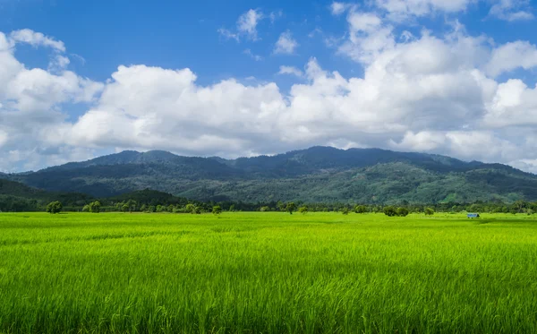 Fields, mountains and sky. — Stock Photo, Image