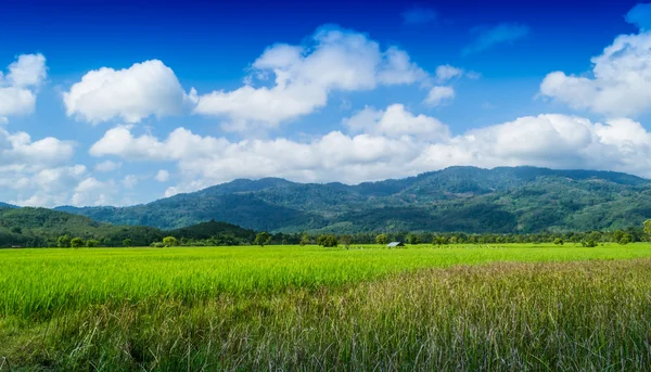 Fields, mountains and sky. — Stock Photo, Image