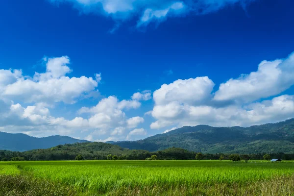 Fields, mountains and sky. — Stock Photo, Image