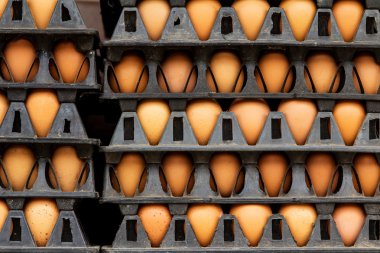 Pakette yumurtalar var.