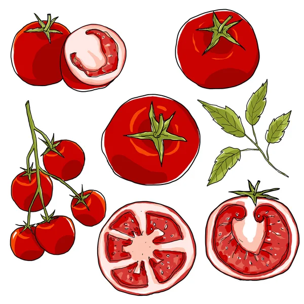 Иллюстрация томатного набора — стоковое фото