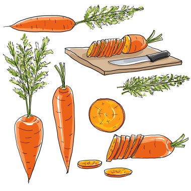 havuç sebze dizi sanat el çizmek illüstrasyon