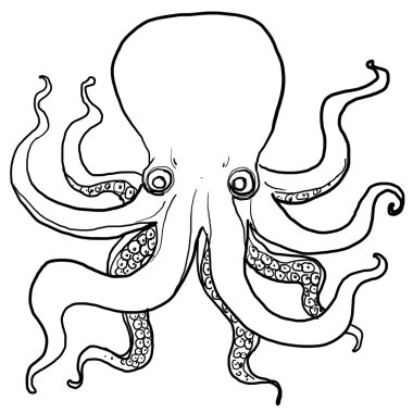 Ahtapot lineart