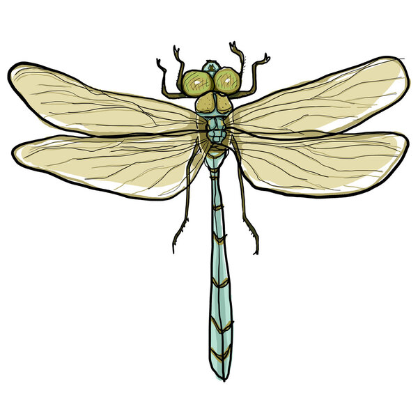 Dragonfly painting