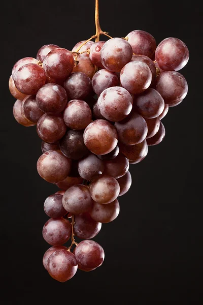 Racimo de uva en negro — Foto de Stock