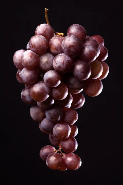 Grape bunch on black — Stock Photo, Image