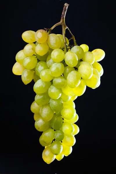 Racimo de uva en negro — Foto de Stock