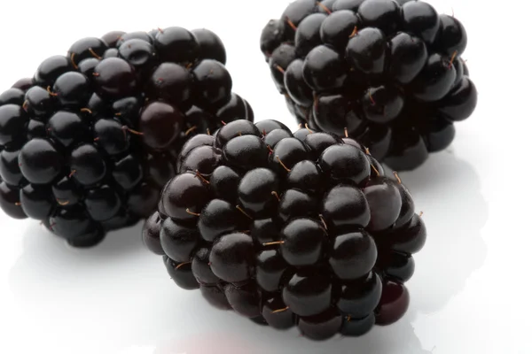 黑莓隔离 — 图库照片