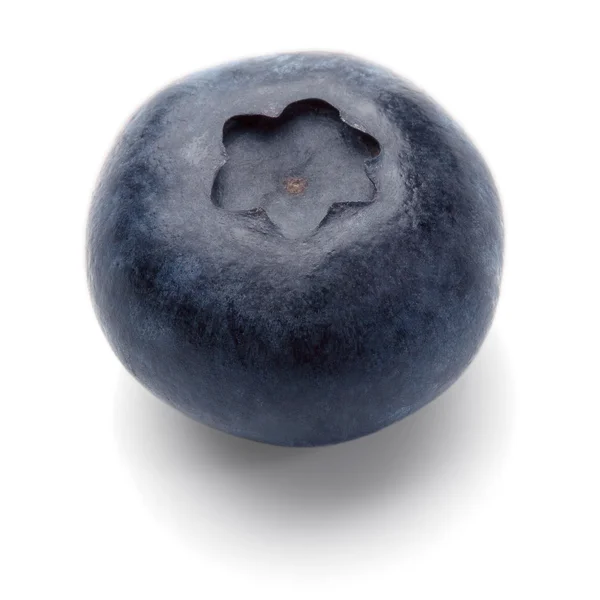 Blueberry geïsoleerd Stockafbeelding