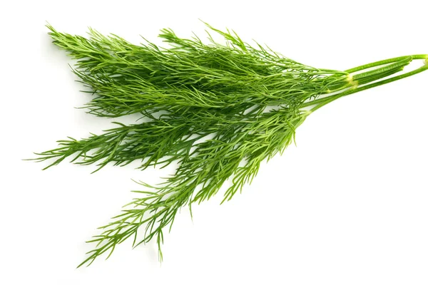 Fresh dill beam — Stock Photo, Image