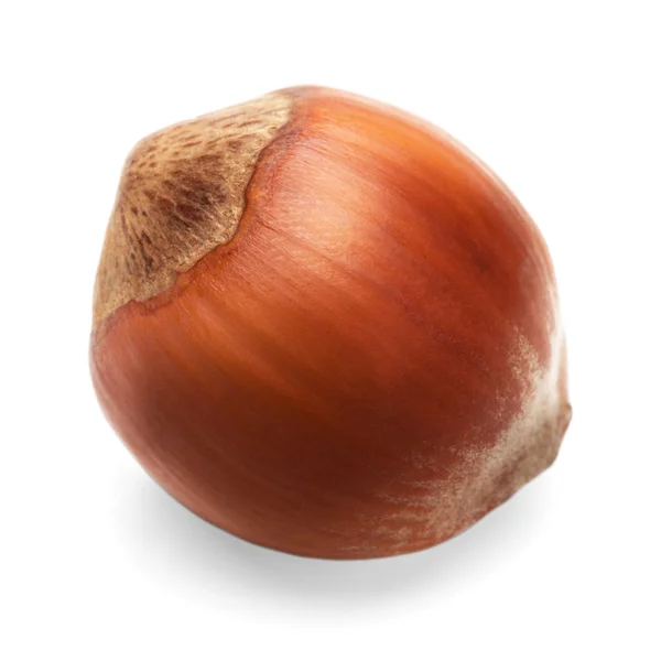 fındık ve tohum beyaz bir arka plan üzerinde