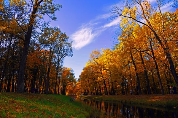 Magické kouzlo barvy na podzim — Stock fotografie
