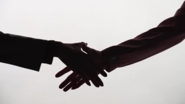 İki iş ortağı ofiste buluşurken el sıkışıyor, ağır çekim.