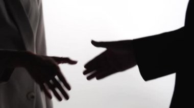 İki iş ortağı ofiste buluşurken el sıkışıyor, ağır çekim.